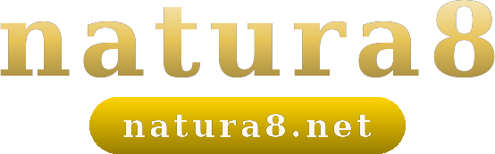 natura8 logo